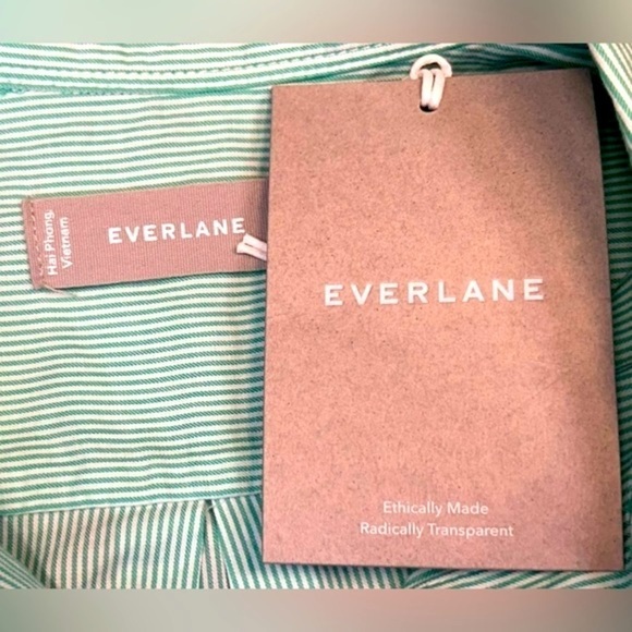NWT Everlane Mint Pinstriped The Silky Cotton Relaxed Shirt, Oversized, Size 0 - Picture 11 of 14